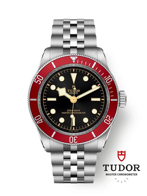 tudor black bay collection.